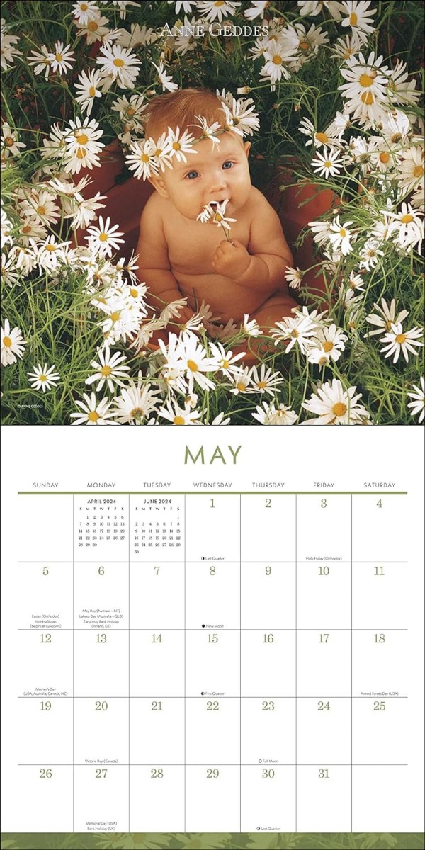 Anne Geddes 2024 Wall Calendar Andrews McMeel Publishing 9781524879983