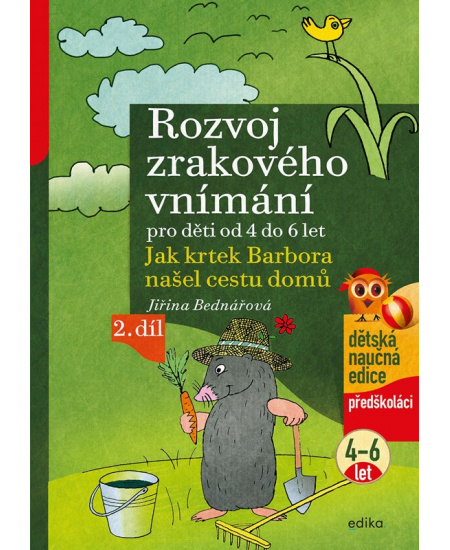 Rozvoj zrakového vnímání