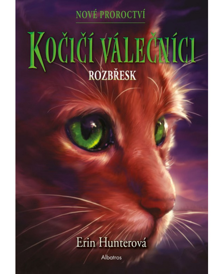 Kočičí válečníci: Nové proroctví (3) - Rozbřesk