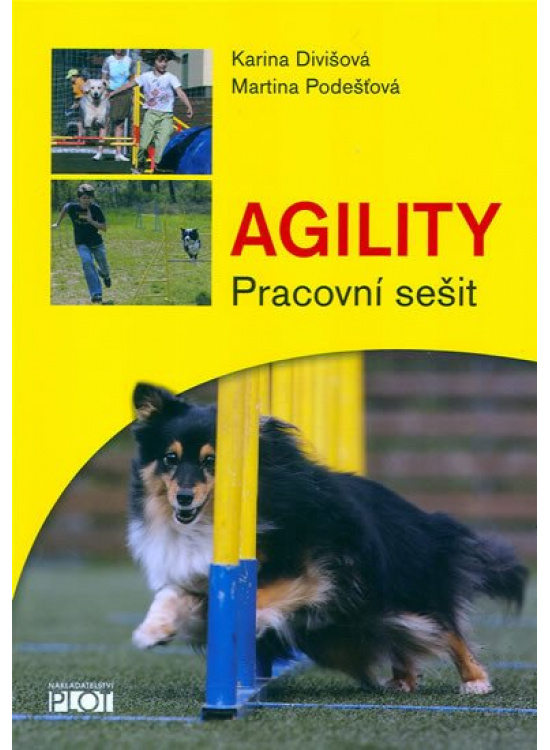 Agility - Pracovní sešit