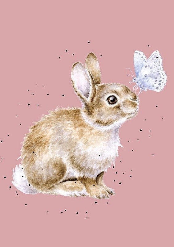 Zápisník A6 Wrendale Designs – králík a motýlek