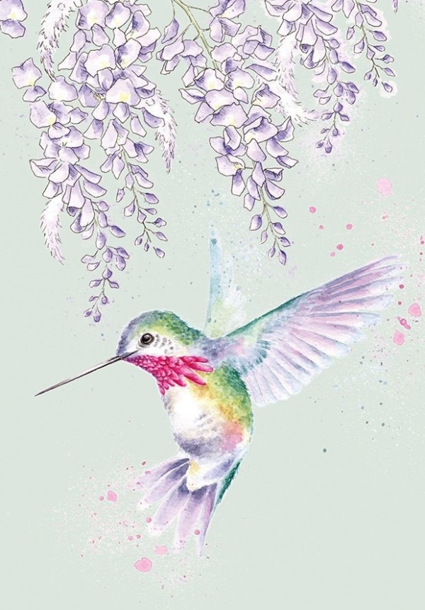 Zápisník A6 Wrendale Designs – kolibřík
