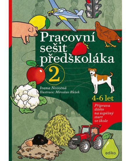 Pracovní sešit předškoláka 2