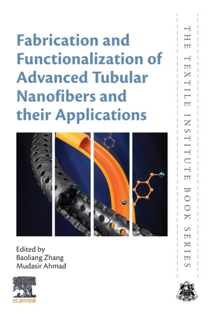 Fabrication and Functionalization of Advanced Tubular Nanofibers and their Applications