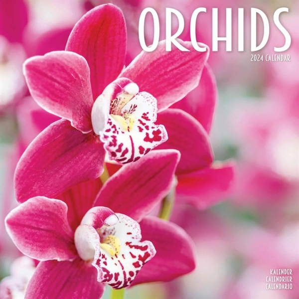 Orchids Calendar 2024 Square Flowers Wall Calendar - 16 Month