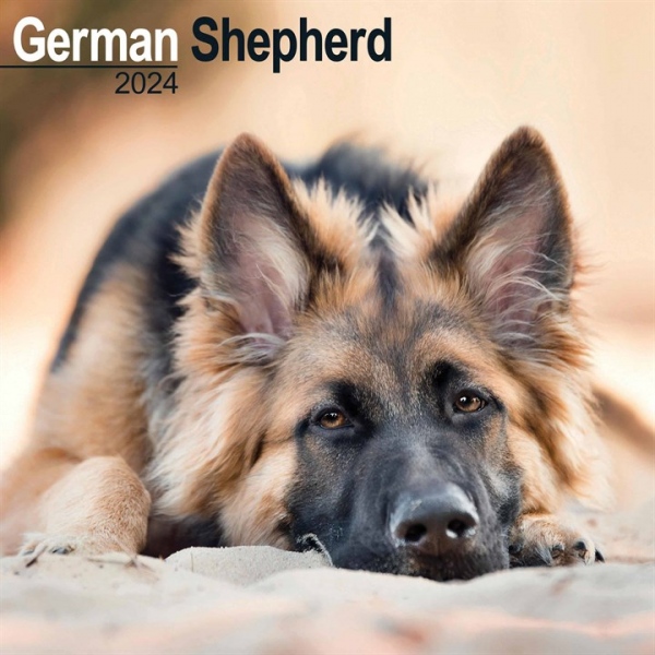 German Shepherd Calendar 2024 Square Dog Breed Wall Calendar - 16 Month