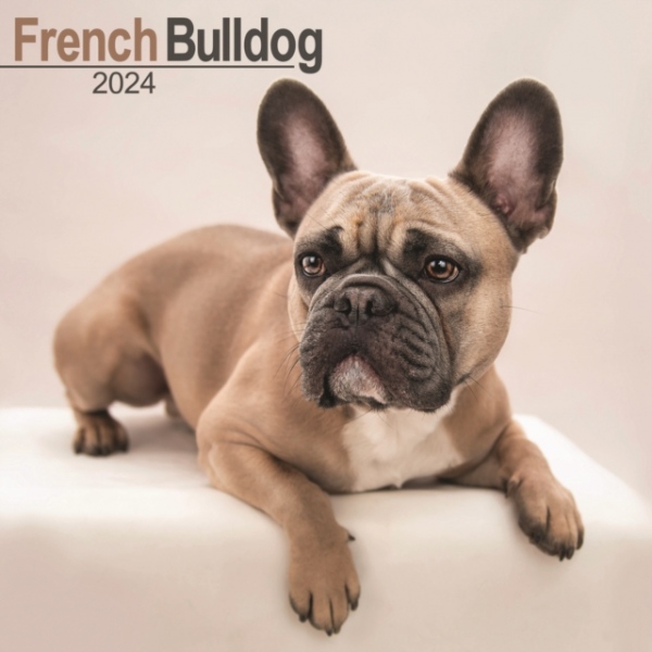 French Bulldog Calendar 2024 Square Dog Breed Wall Calendar - 16 Month