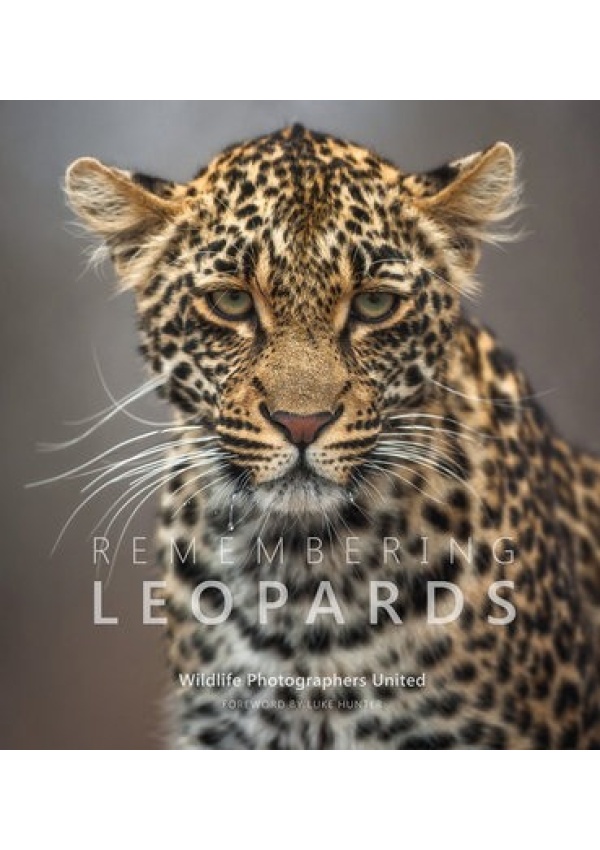 Remembering Leopards