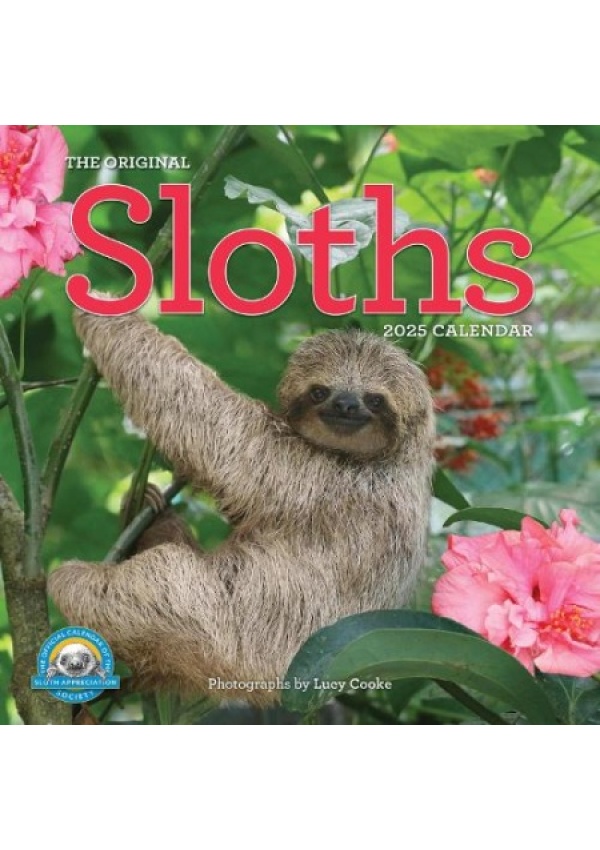 Original Sloths Wall Calendar 2025, The Ultimate Experts at Slowing Down