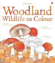 Woodland wildlife to colour