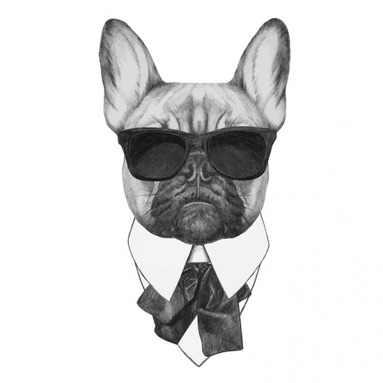 Nažehlovací nálepka pes s brýlemi - 21 x 30 cm