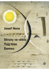 Struny ve větru, Tvůj hlas, Domov