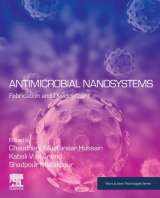 Antimicrobial Nanosystems, Fabrication and Development