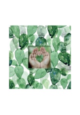 Fotoalbum - Kaktus