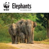 WWF Elephants Square Wall Calendar 2024