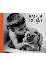 Magnum Dogs