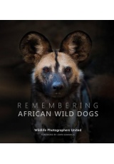 Remembering African Wild Dogs