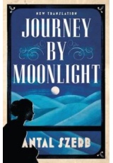 Journey by Moonlight