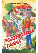 Roztříštěná láska