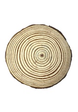 Creatissimo - přírodní dřevěné kolečko s kůrou 10 cm