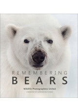 Remembering Bears