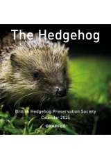 The Hedgehog Calendar 2025