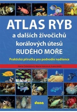 Atlas ryb a dalších živočichů korálových útesů Rudého moře - Praktická příručka pro vodní nadšence