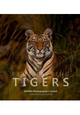 Remembering Tigers