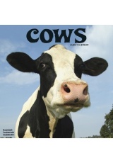 Cows Calendar 2025 Square Farm Animal Wall Calendar - 16 Month