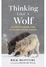 Thinking Like a Wolf, Lessons From the Yellowstone Packs