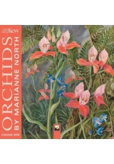 Kew Gardens: Orchids by Marianne North Mini Wall Calendar 2025 (Art Calendar)