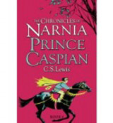 Chronicles of Narnia 4 Prince Caspian