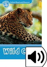 Oxford Read and Discover 1 Wild Cats Audio Mp3 Pack