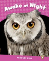 Penguin Kids 2 Awake At Night Reader CLIL