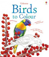 Birds to colour