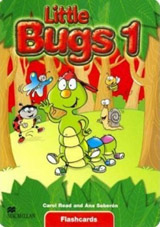 Little Bugs 1 Flashcards