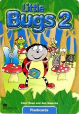 Little Bugs 2 Flashcards
