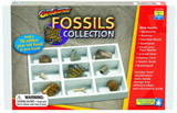 Kolekce fosílií