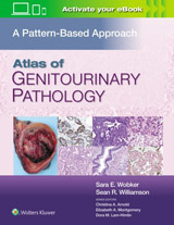 Atlas of Genitourinary Pathology : A Pattern Based Approach