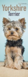 Yorkshire Terrier 2022 Slim Calendar - výprodej