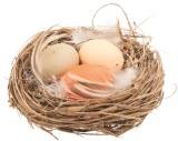 Hnízdo s vajíčky 7 cm